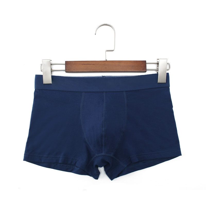 Men's Underwear Sexy Men Boxers Cotton Briefs Male Panties Man Underpants U Pouch Male Panties Tanga Slip Homme